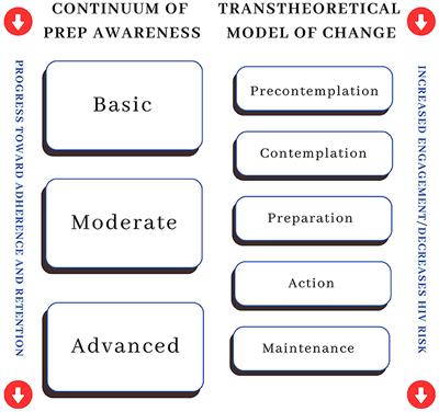 A conceptual analysis of SBIRT implementation alongside the continuum of PrEP awareness: domains of fit and feasibility